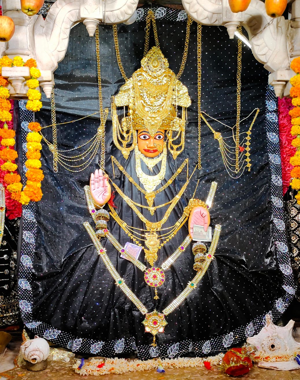 माँ विराटेश्वरी के दरबार में विशाल भंडारा जवारा जुलूस होगा भव्य आयोजन